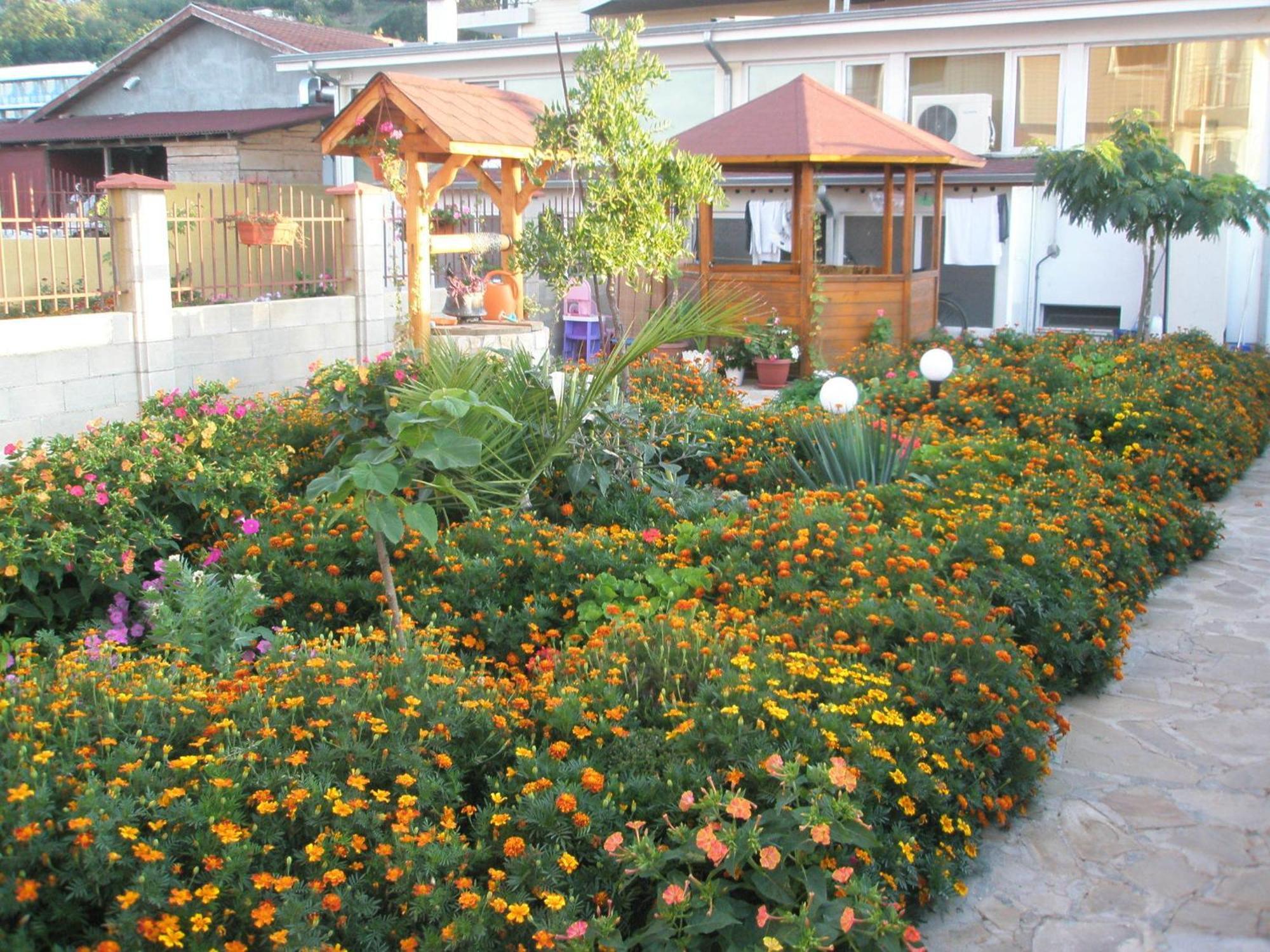 Hotel Morski Dar คราเนโว ภายนอก รูปภาพ